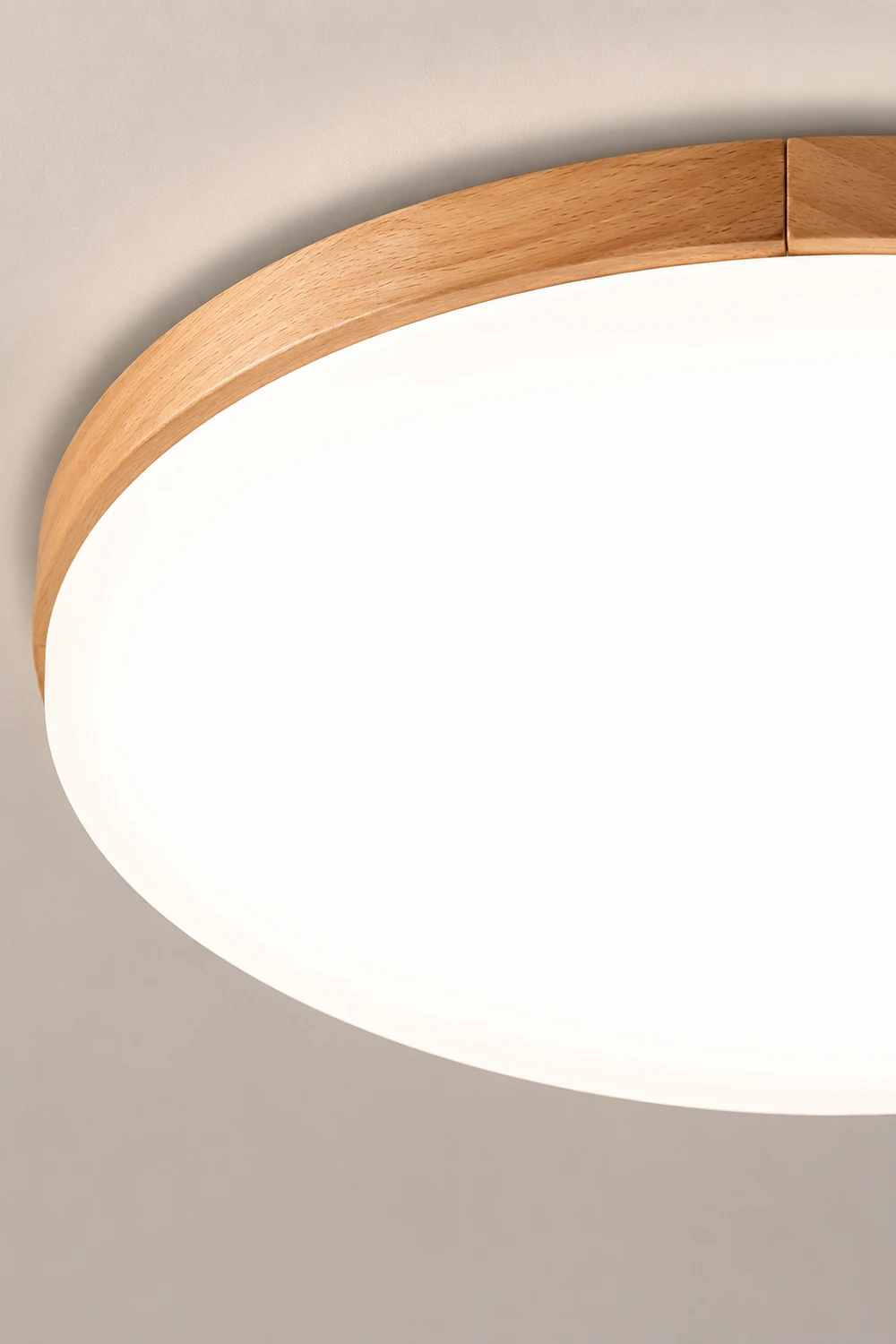 Simple Round Acrylic LED Ceiling Light - Lumpaz