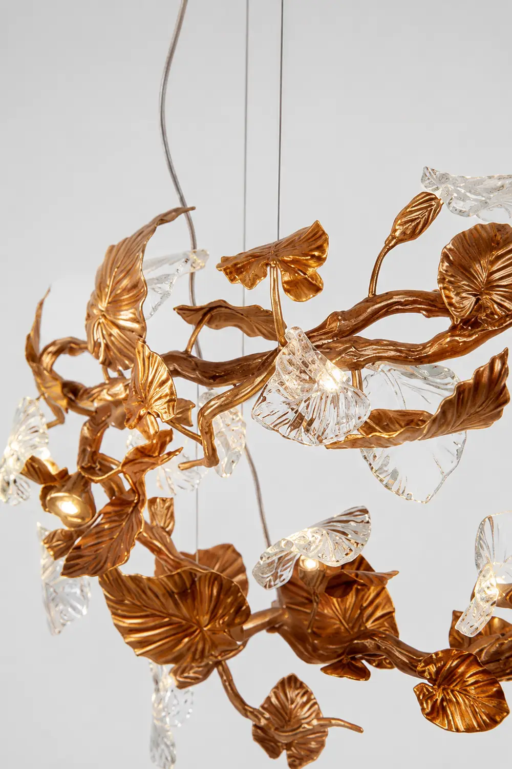 Calathea Chandelier - Lumpaz