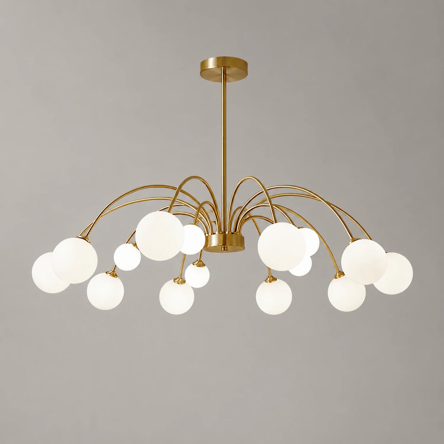 Apiales Chandelier - Lumpaz