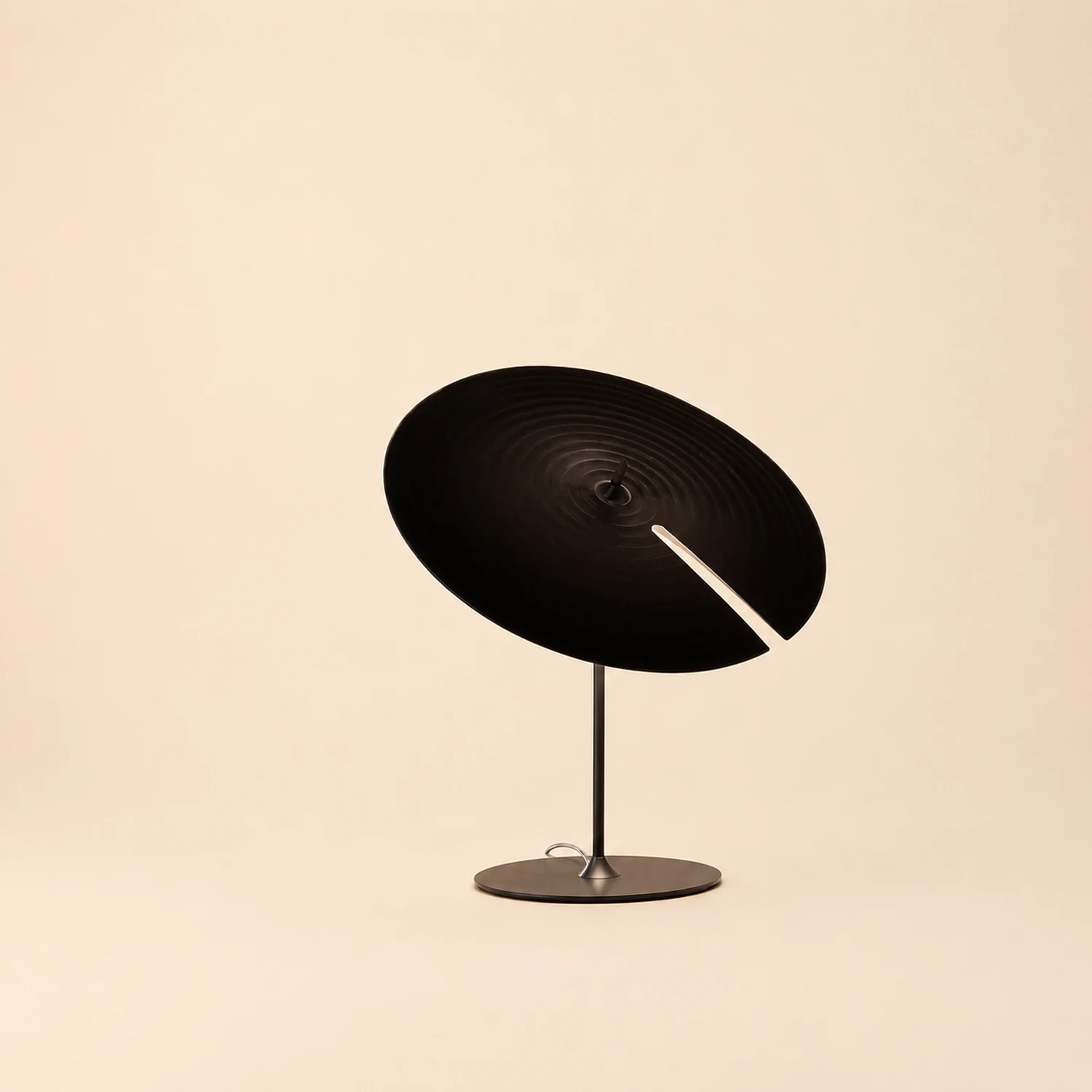 Carins Modern Simple Black Floor & Table Lamp, Metal - Lumpaz