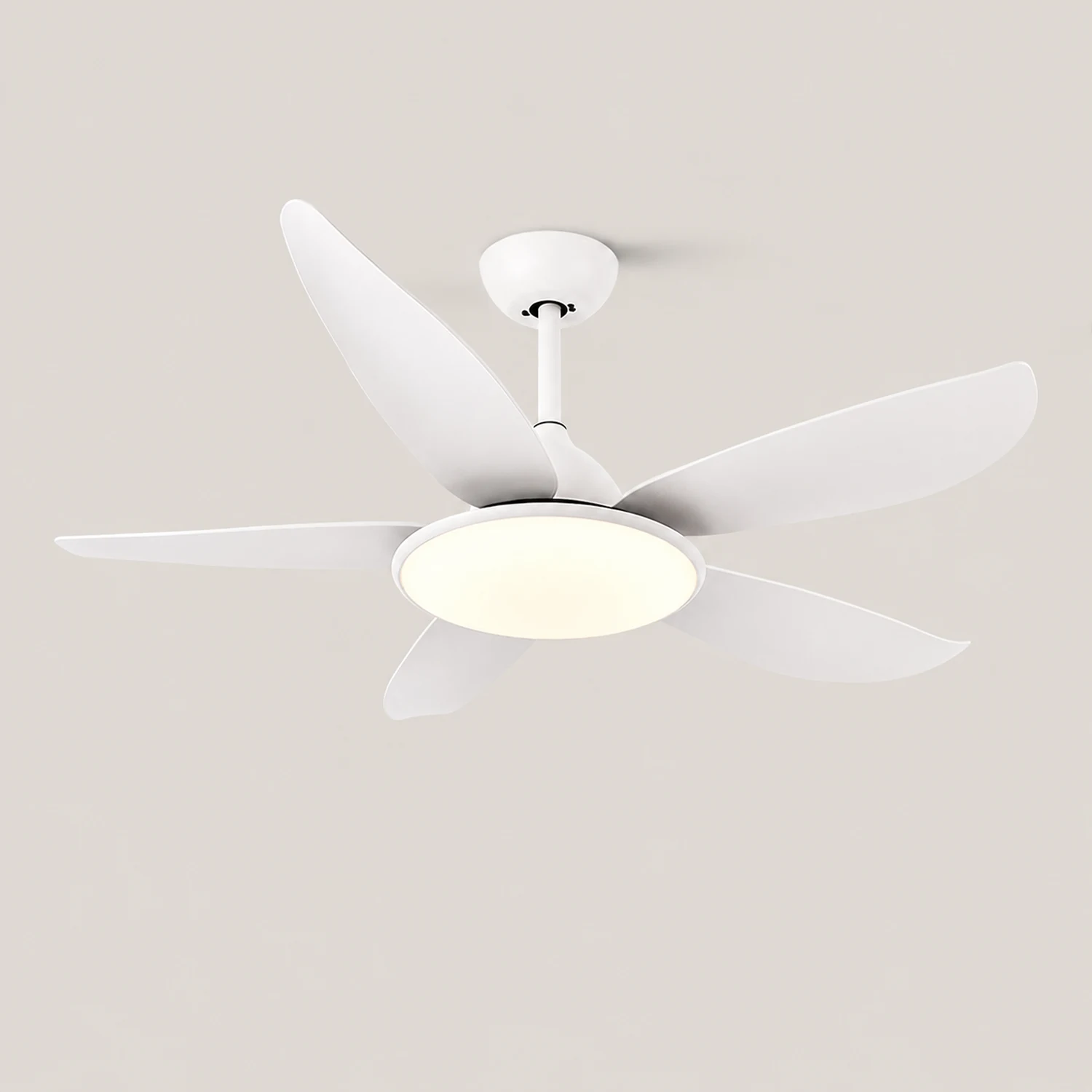 Haydn 5-Blade Modern Basic DC Ceiling Fan with Light, Black & White, 52'' - Lumpaz