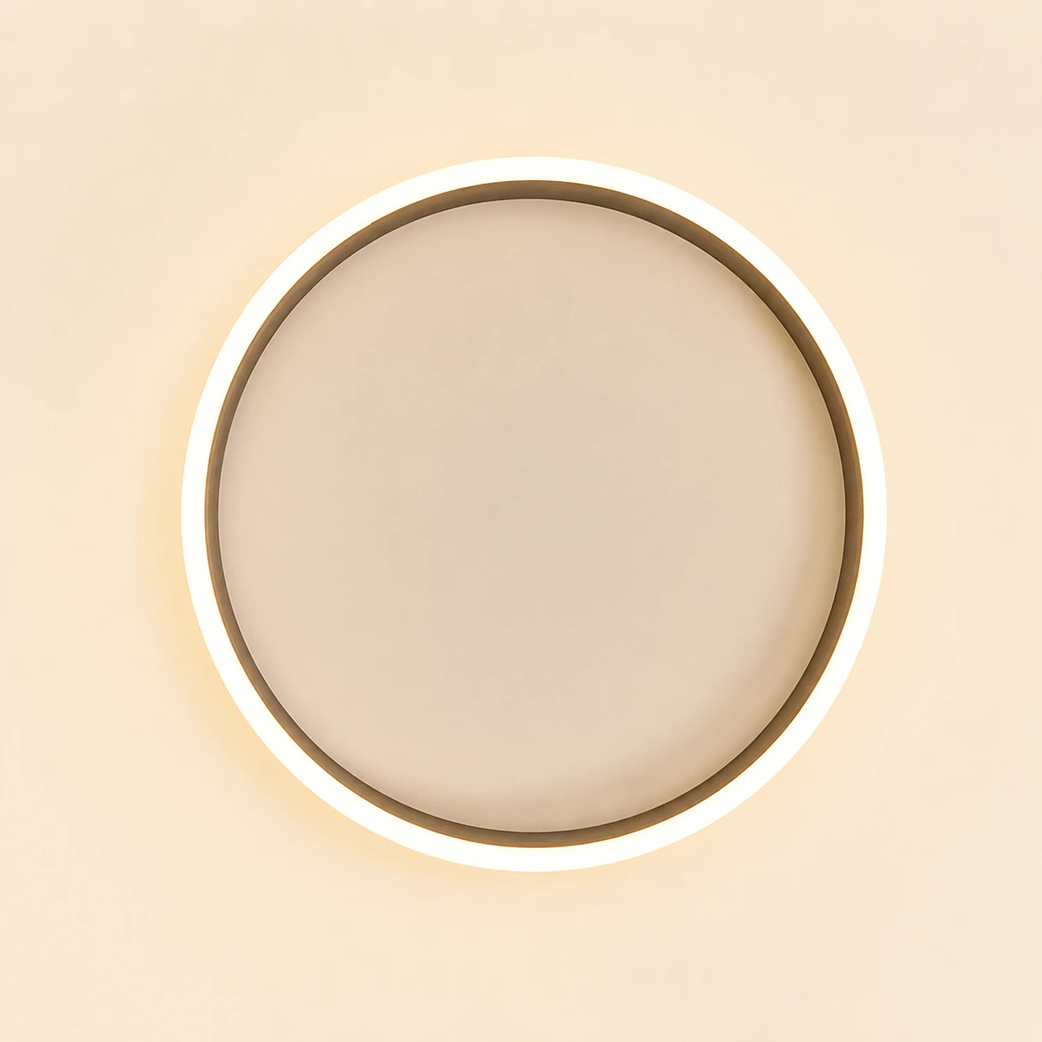 Quinn Modern Ring Metal/Acrylic Flush Mount Ceiling Lights, Silver - Lumpaz