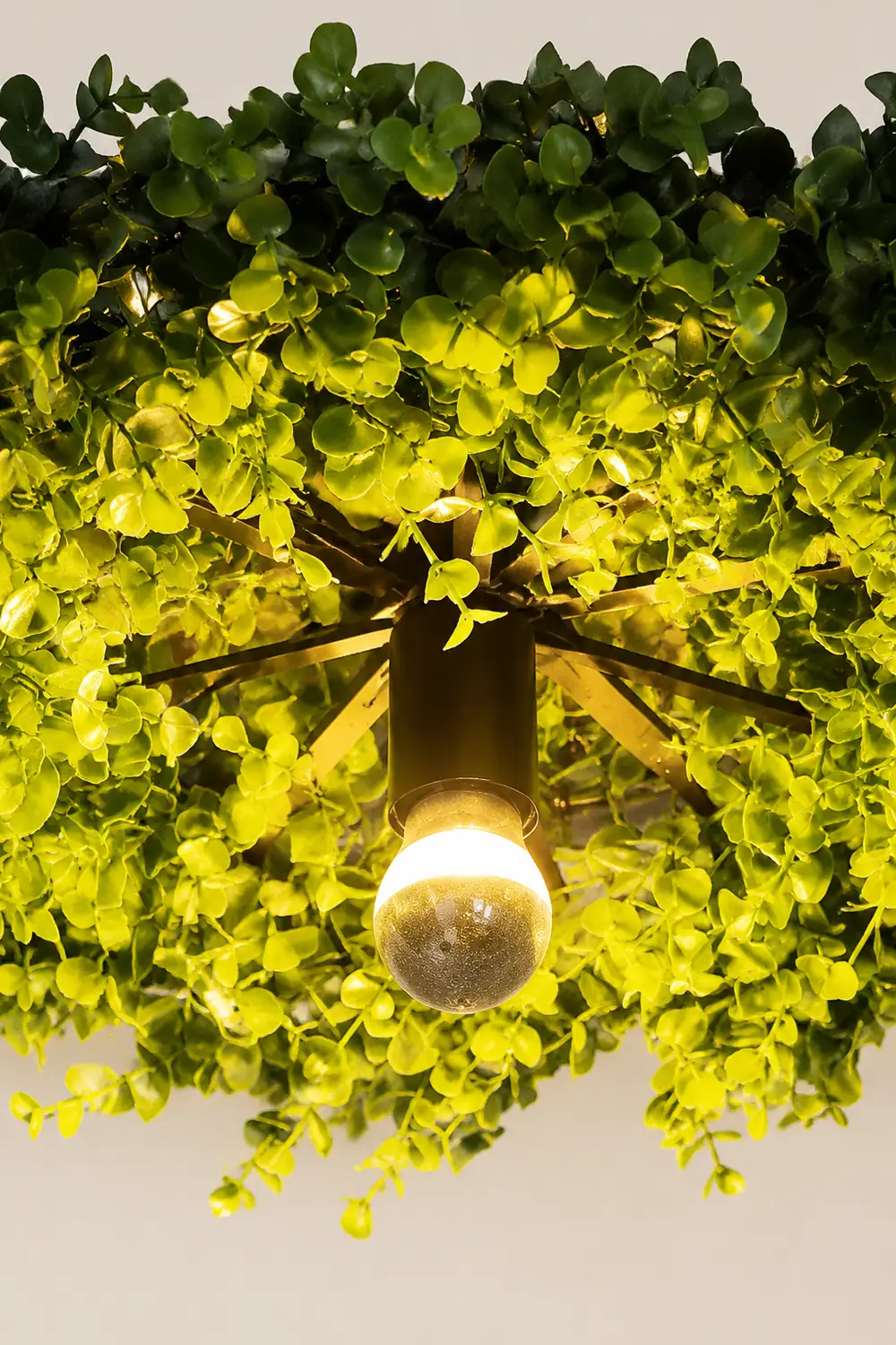 Nest Modern Plant Ceiling Light Green Metal/Glass Living Room - Lumpaz
