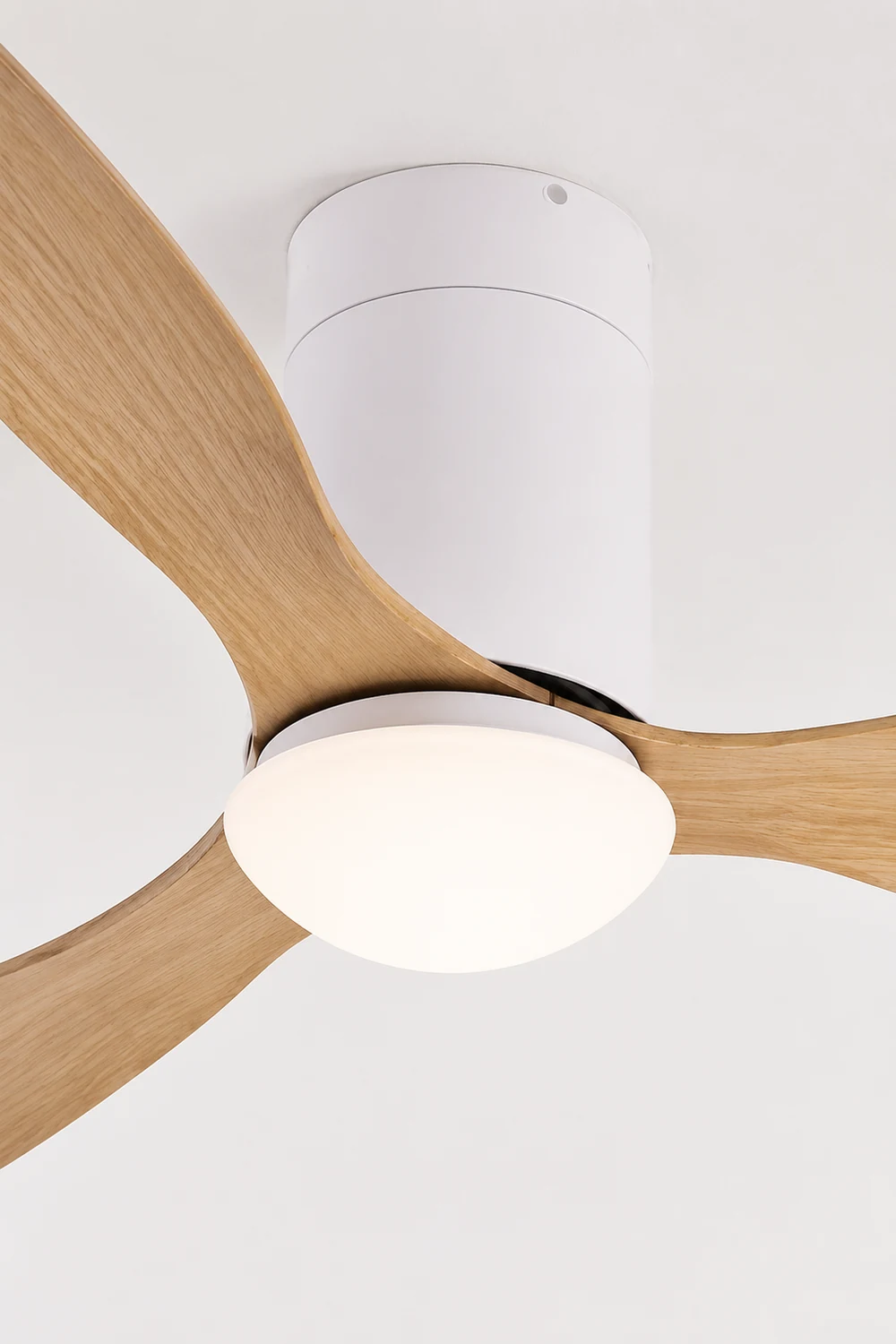 Walters 3-Blade White Ceiling Fan With Light, 2 Color, DIA 45.3'' - Lumpaz