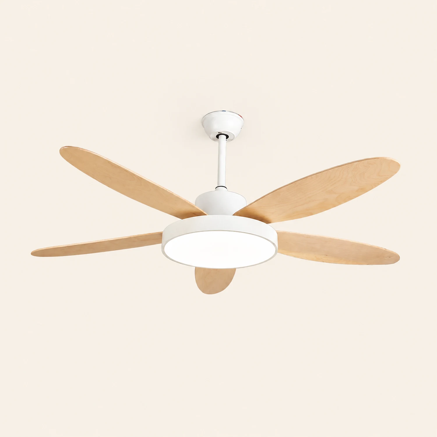 Haydn 5-Blade White & Black  DC Ceiling Fan with Light, Summer, 47.2''/51.2''/55.1'' - Lumpaz