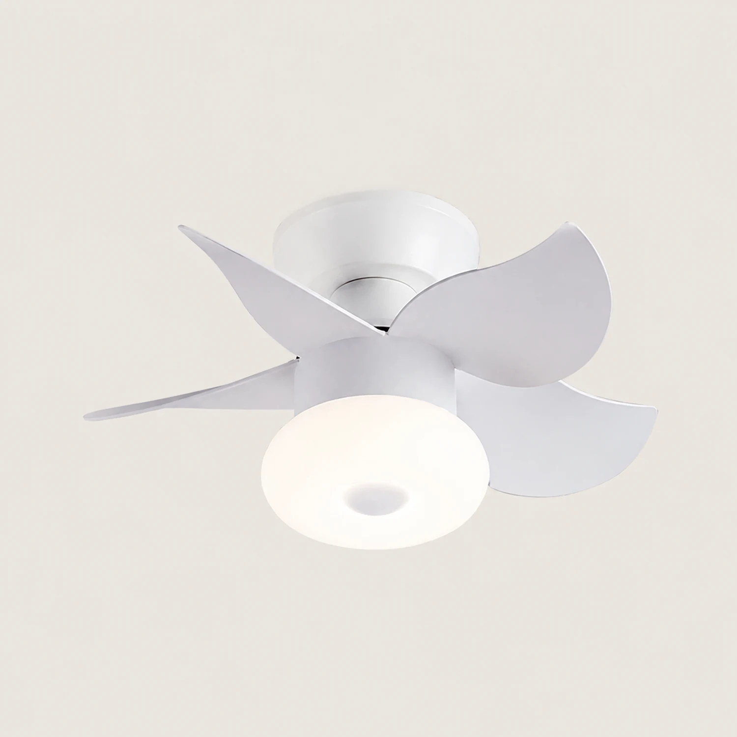 Morandi 5-Blade Ceiling Fan with Light, 3 Color, 24'' - Lumpaz