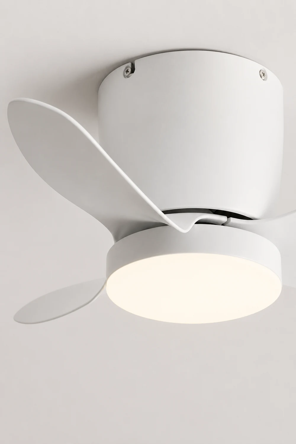 Walters 3-Blade Ceiling Fan with Light, 3 Color, DIA 23.62'' - Lumpaz