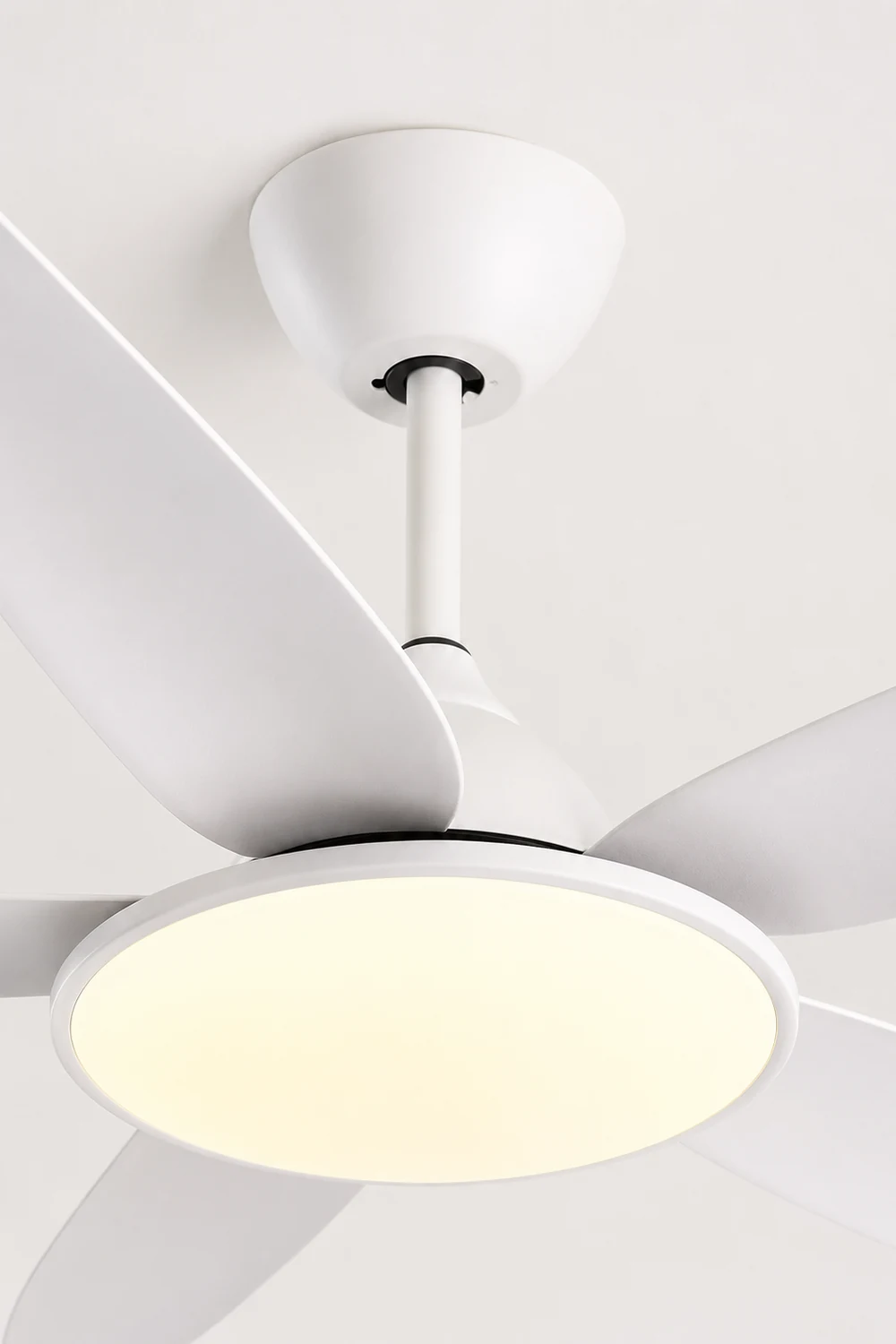 Haydn 5-Blade Modern Basic DC Ceiling Fan with Light, Black & White, 52'' - Lumpaz