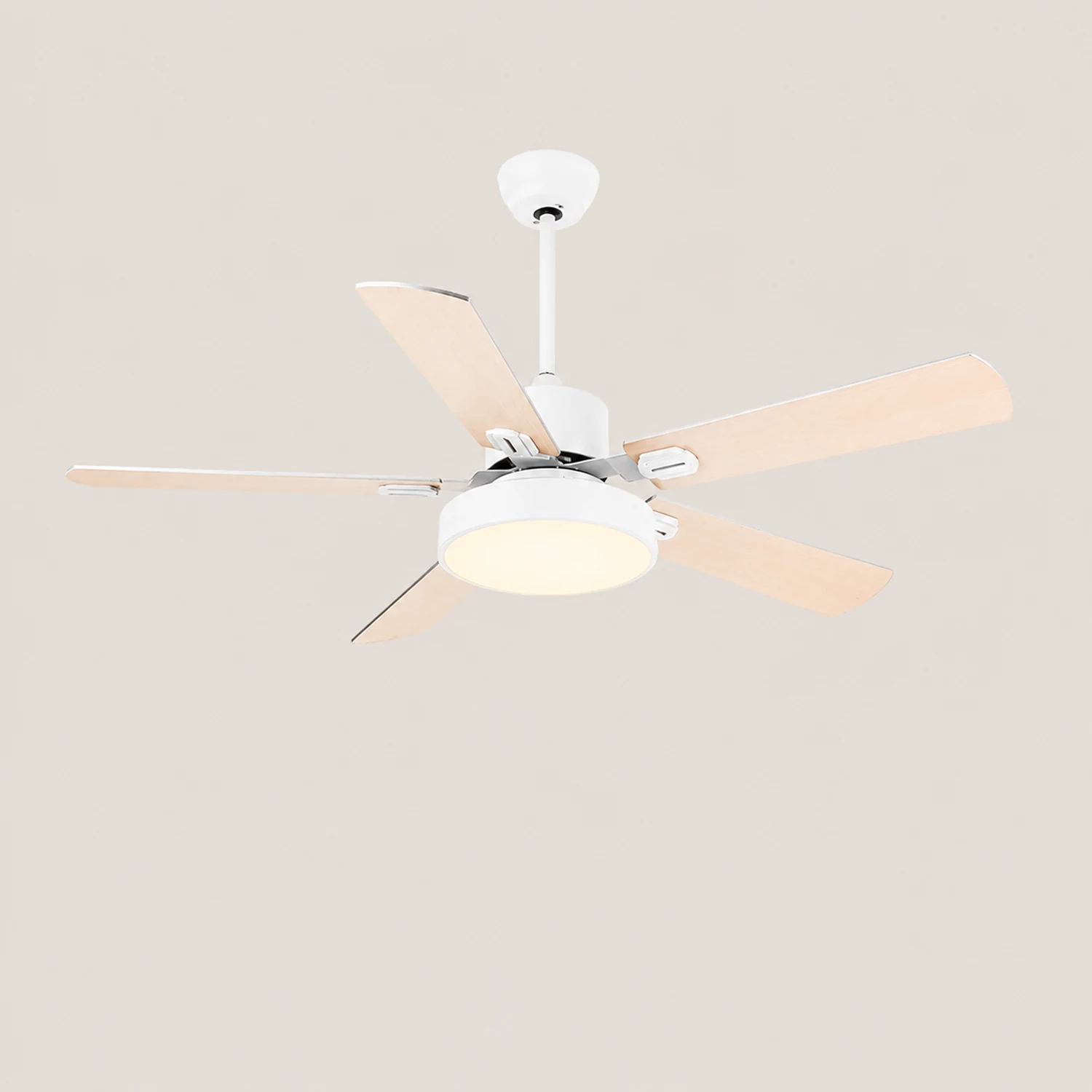 Morandi 5-Blade Ceiling Fan with Light, 4 Color - Lumpaz