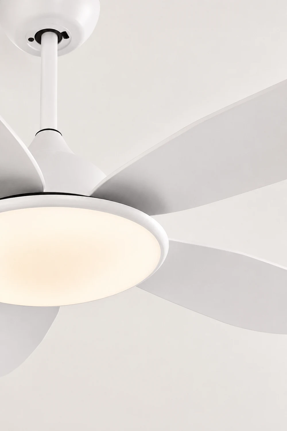 Haydn 5-Blade Modern Basic DC Ceiling Fan with Light, Black & White, 52'' - Lumpaz
