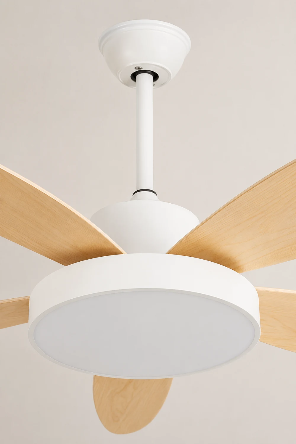 Haydn 5-Blade White & Black  DC Ceiling Fan with Light, Summer, 47.2''/51.2''/55.1'' - Lumpaz