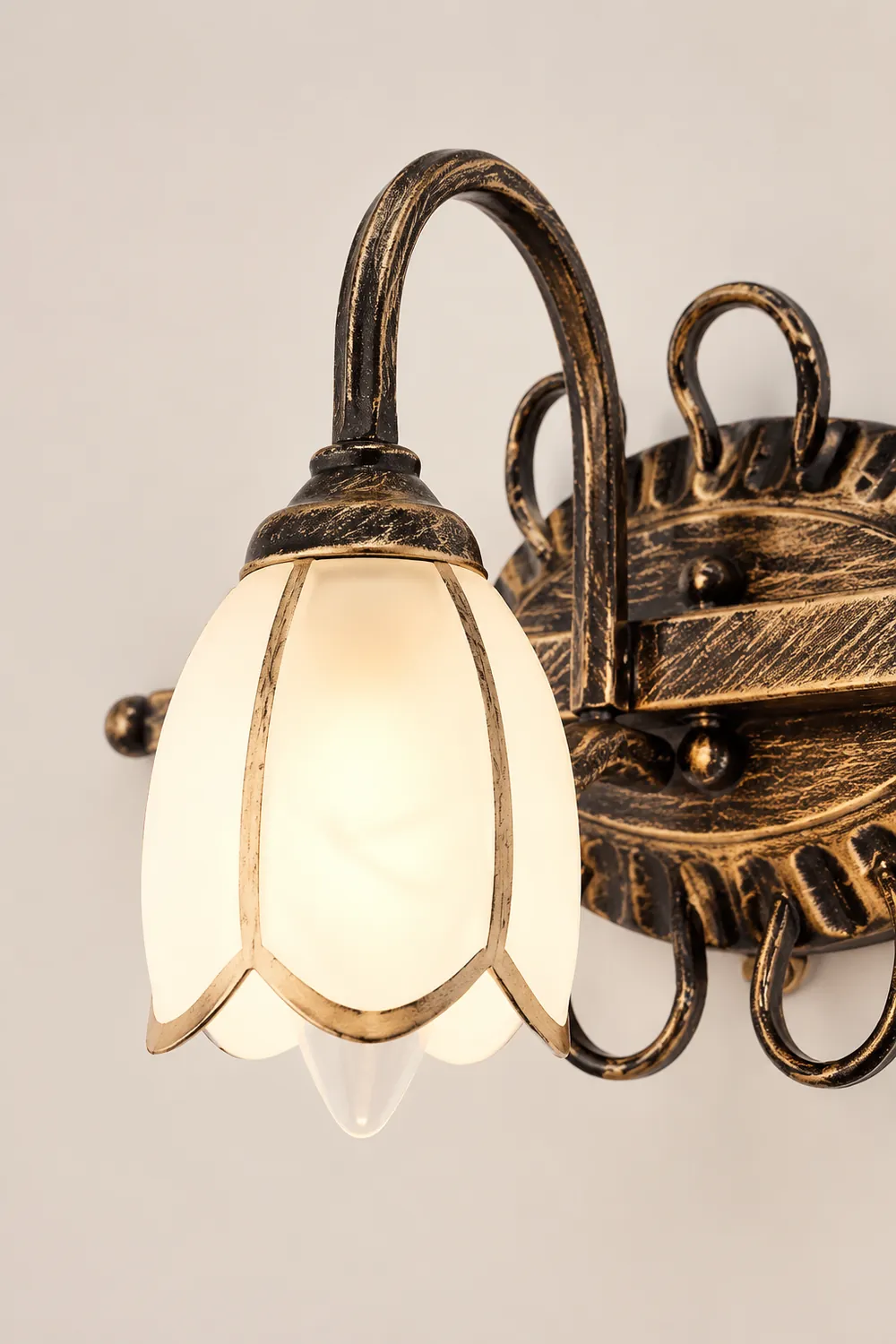 Félicie Antique Brass Flower Mirror Front Vanity Wall Lamp - Lumpaz