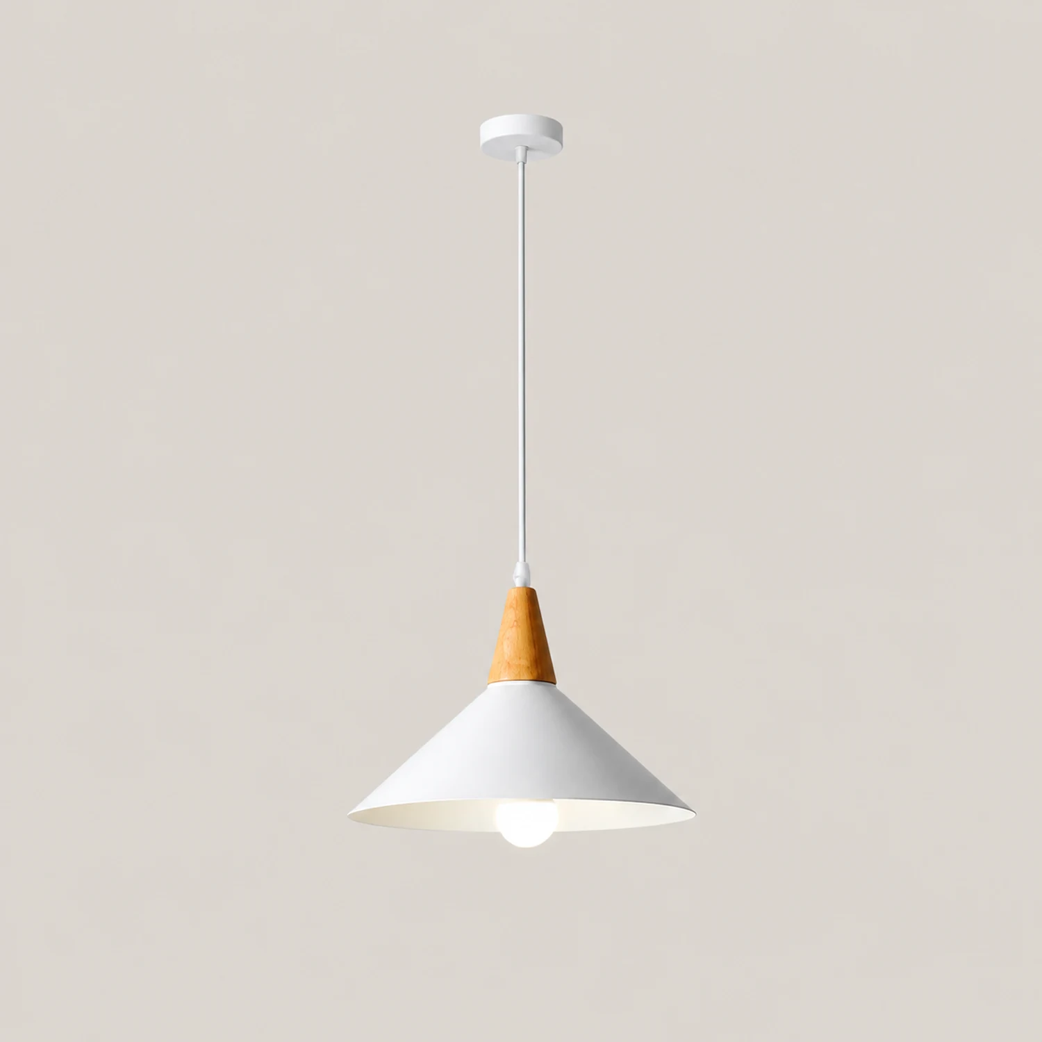 Morandi Minimalist Cap-shaped Metal Pendant Light, Natural Wood - Lumpaz