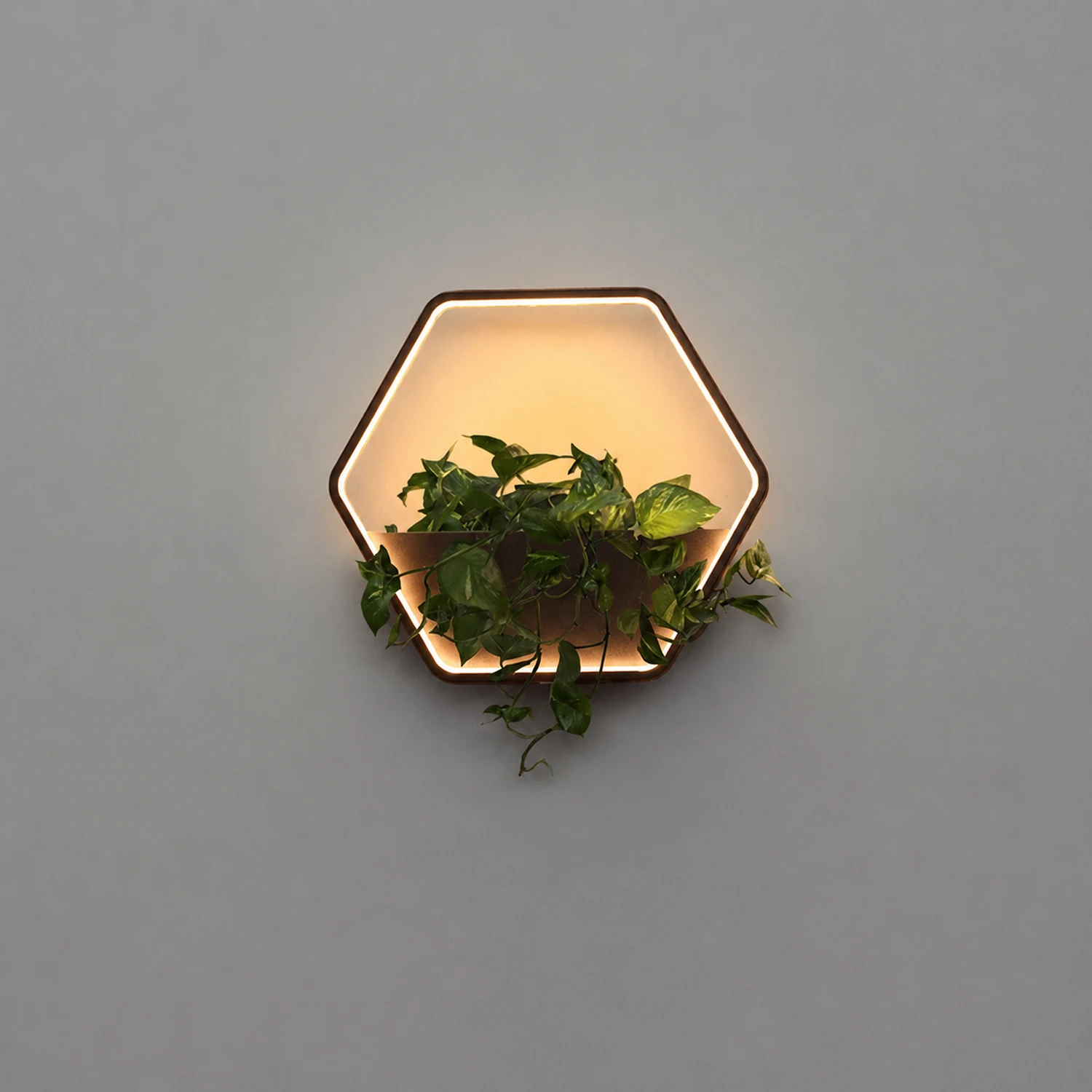 Orr Minimalist Hexagonal Ring With Shelf Metal Outdoor Wall Lamp, Black - Lumpaz
