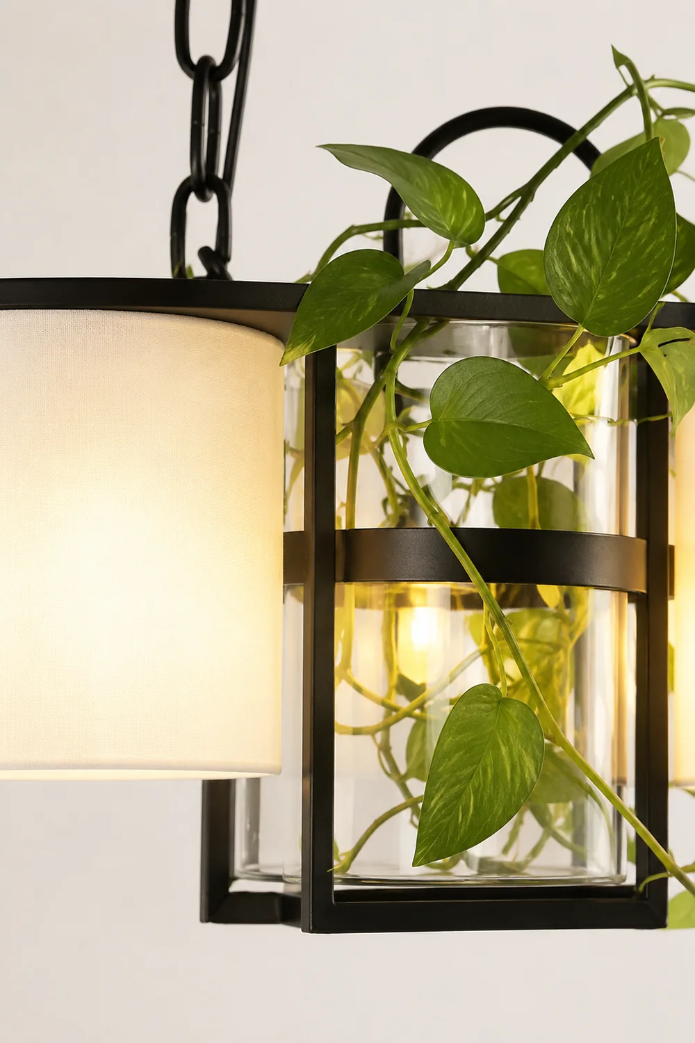 Nest Barrel Greenery Glass Pendant Light, Black - Lumpaz