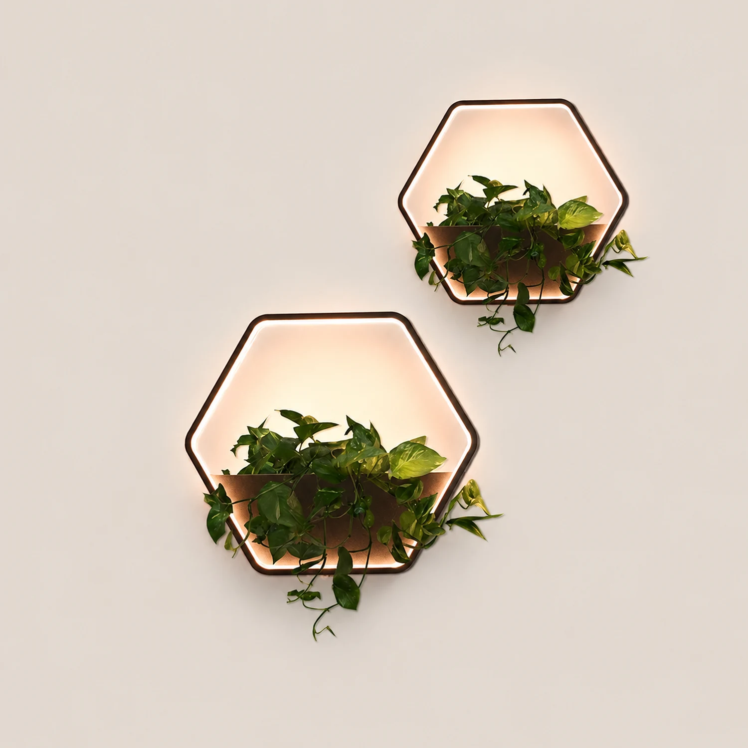 Orr Minimalist Hexagonal Ring With Shelf Metal Outdoor Wall Lamp, Black - Lumpaz