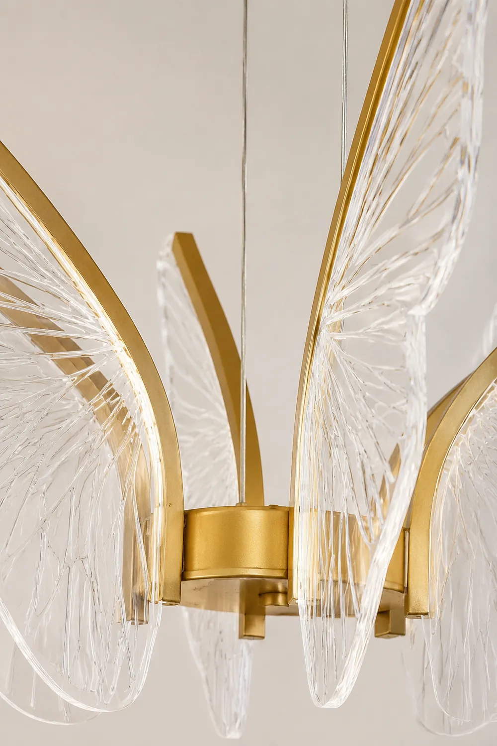 Phalaenopsis Chandelier - Lumpaz