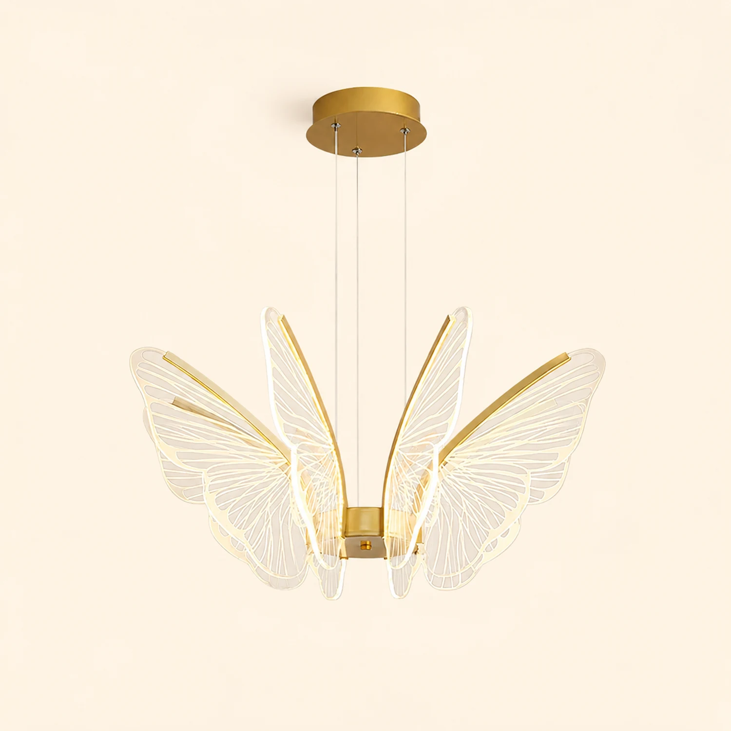 Phalaenopsis Chandelier - Lumpaz