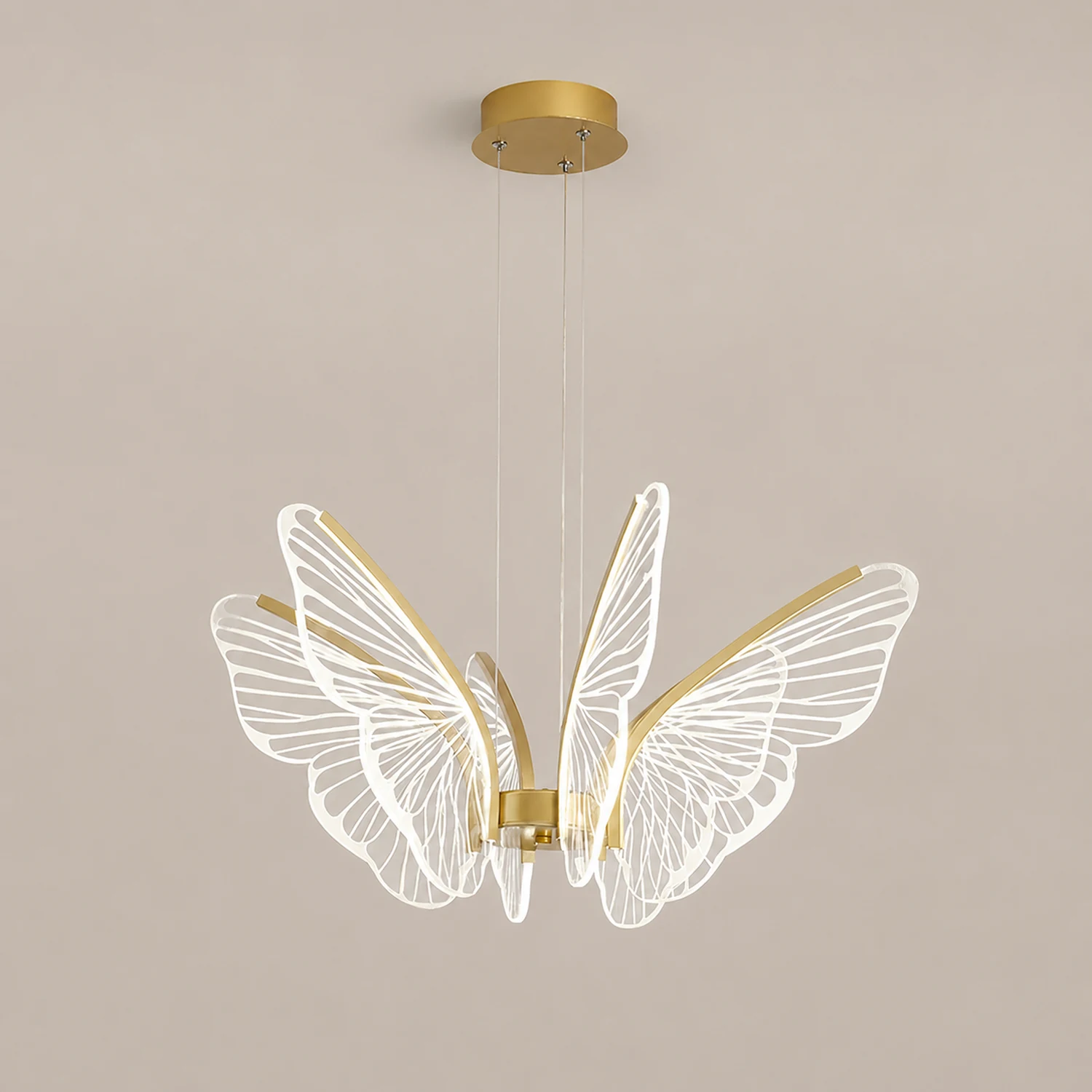 Phalaenopsis Chandelier - Lumpaz