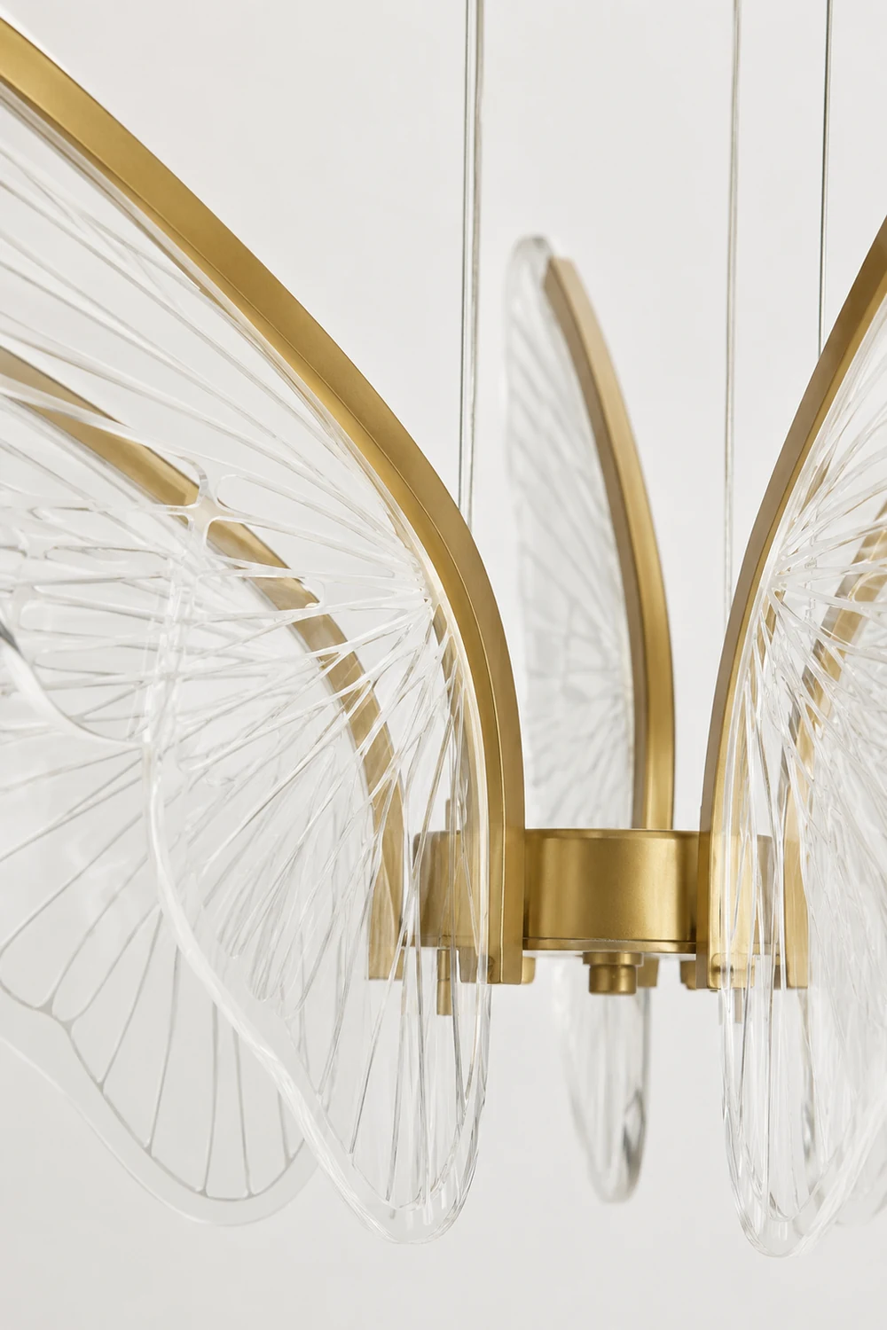 Phalaenopsis Chandelier - Lumpaz