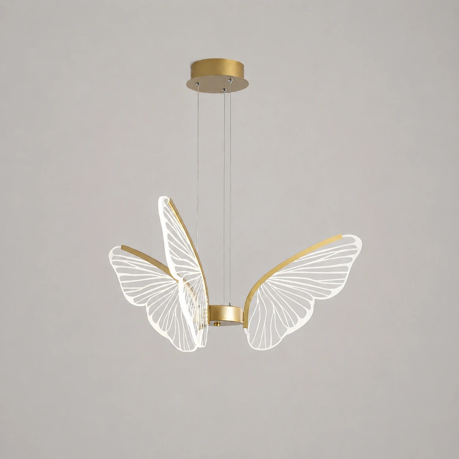 Phalaenopsis Chandelier - Lumpaz