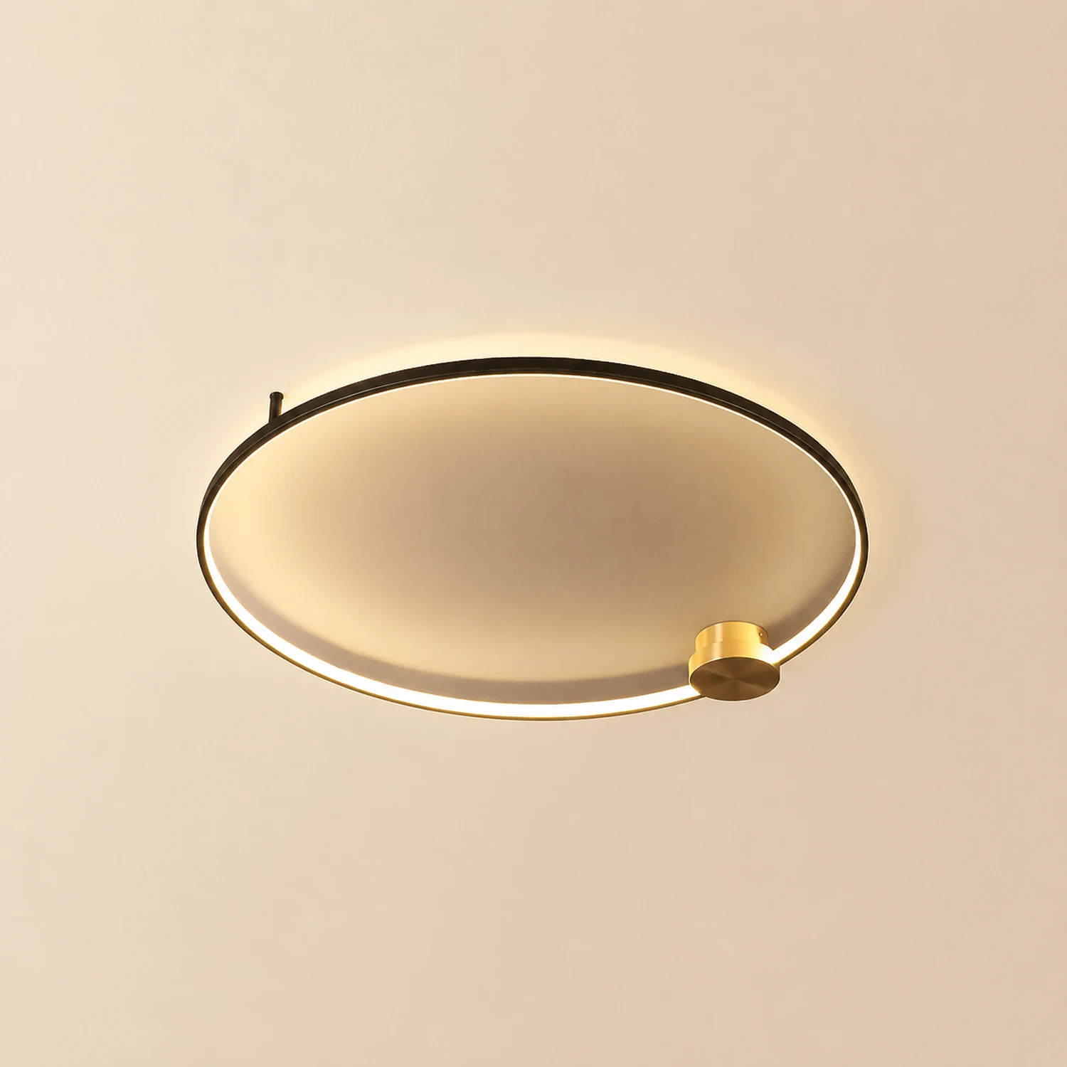 Loop LED Ceiling Light - Lumpaz