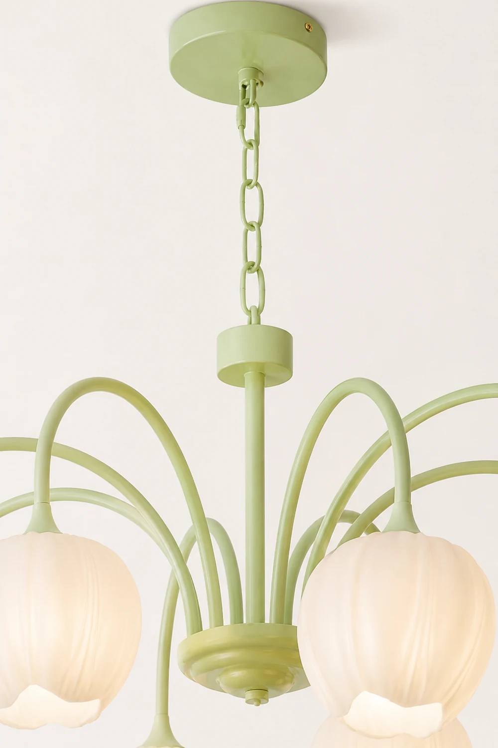 Tulip Matcha Chandelier - Lumpaz