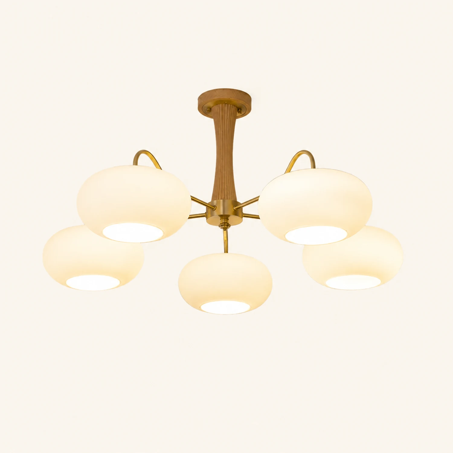 Brass Wooden Persimmon Ceiling Lamp - Lumpaz