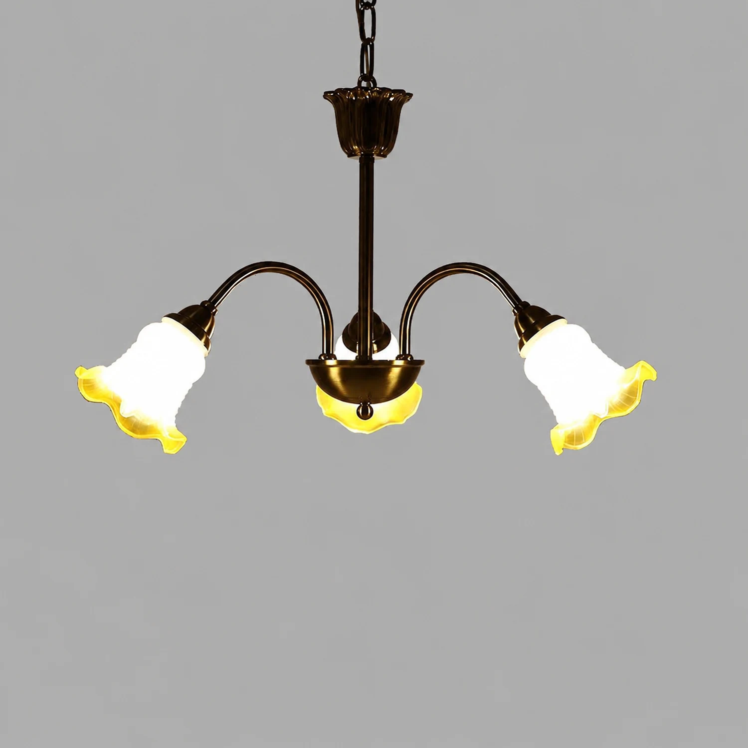 Morning Glory Chandelier - Lumpaz