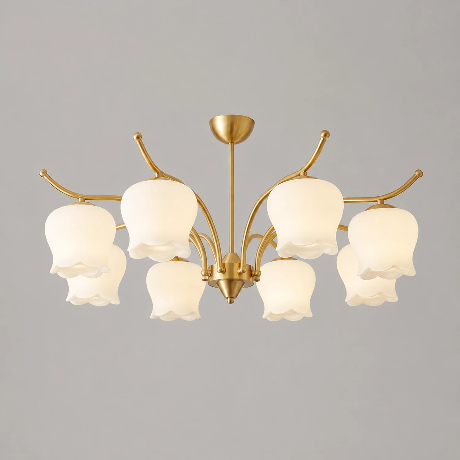 Tulip Brass Chandelier - Lumpaz