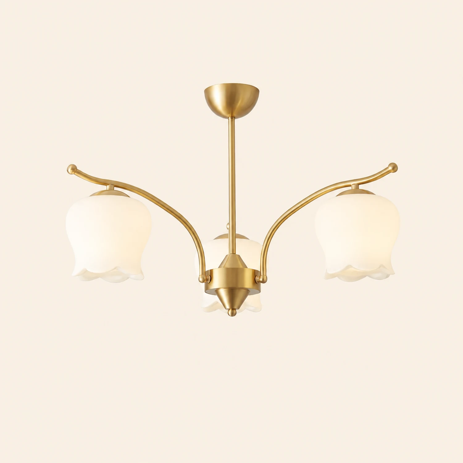 Tulip Brass Chandelier - Lumpaz