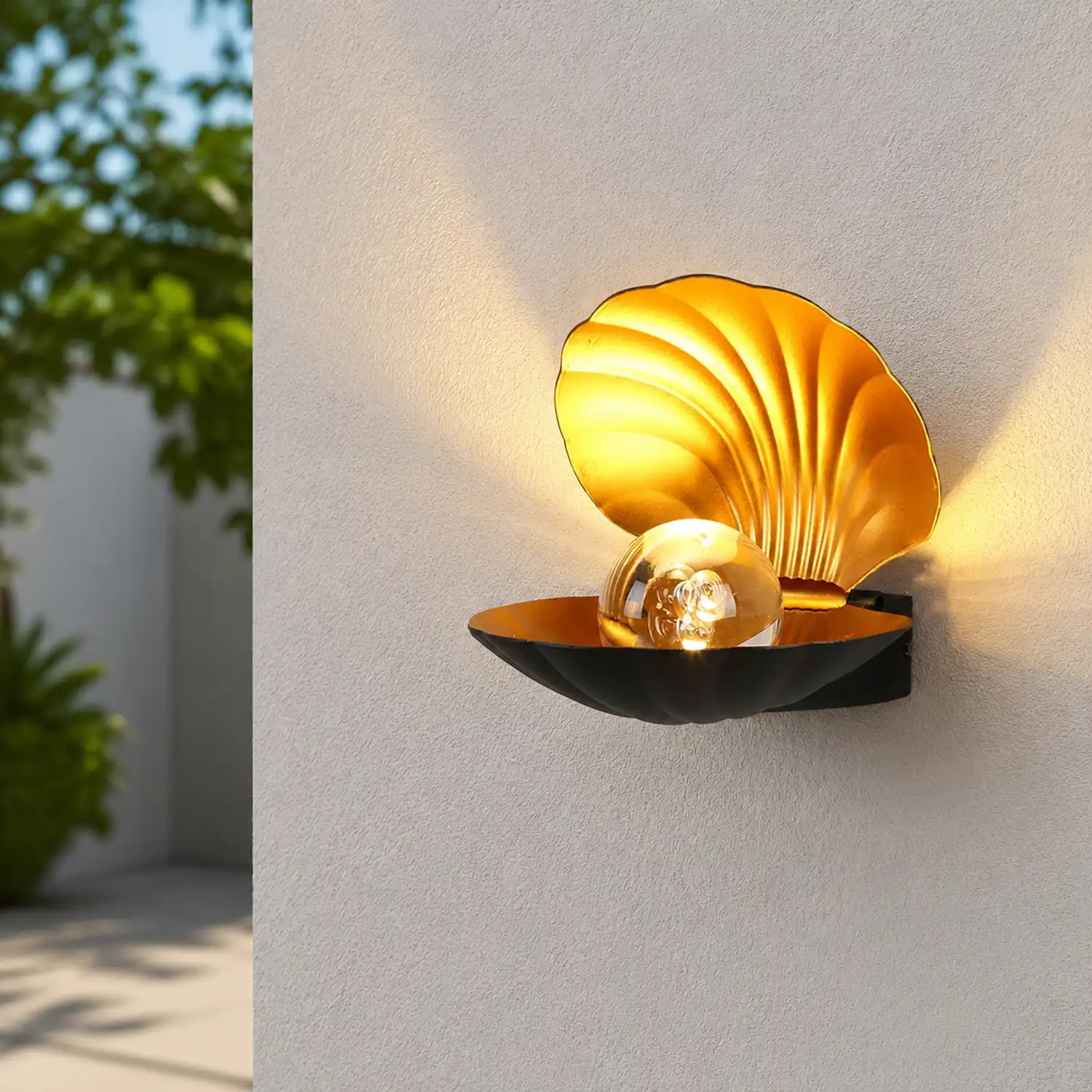 Pearl Clam Wall Light - Lumpaz