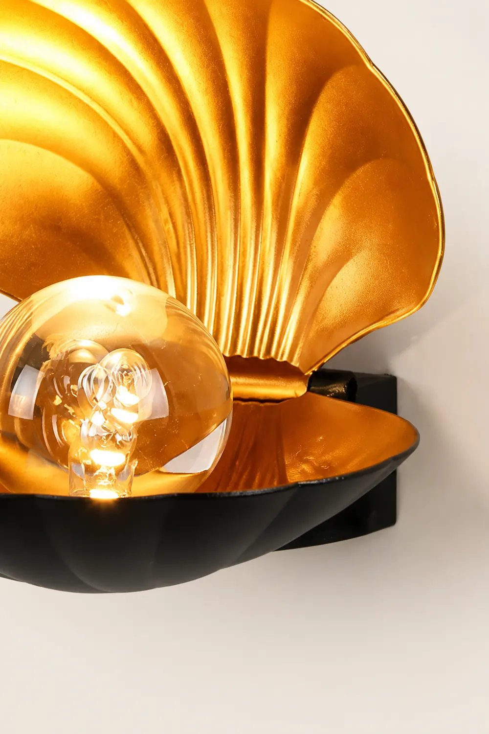 Pearl Clam Wall Light - Lumpaz