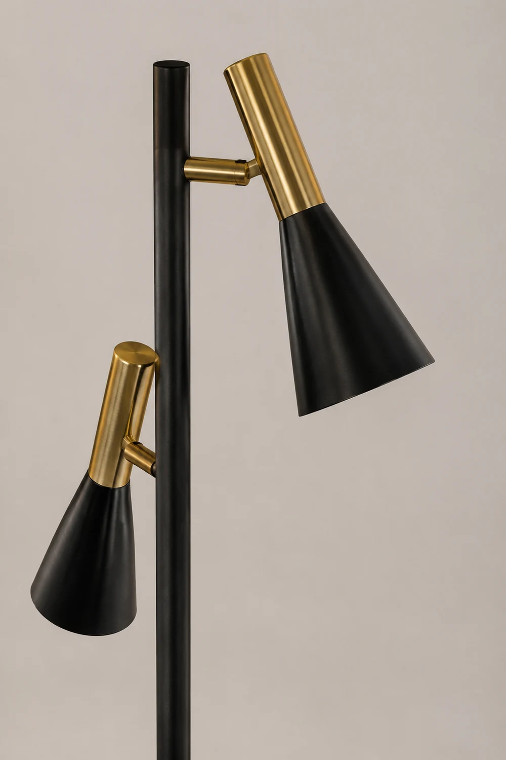 Creative Adjustable Two Heads Black Floor Lamp - Lumpaz