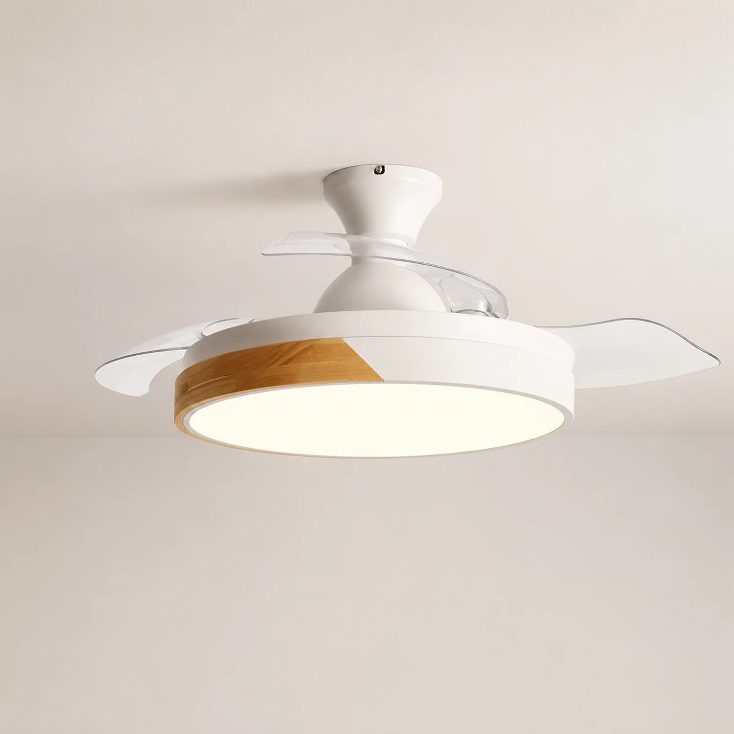 Morandi Deckenventilator mit Beleuchtung Klare Blätter, 5 Farben, ∅90/100CM - Lumpaz