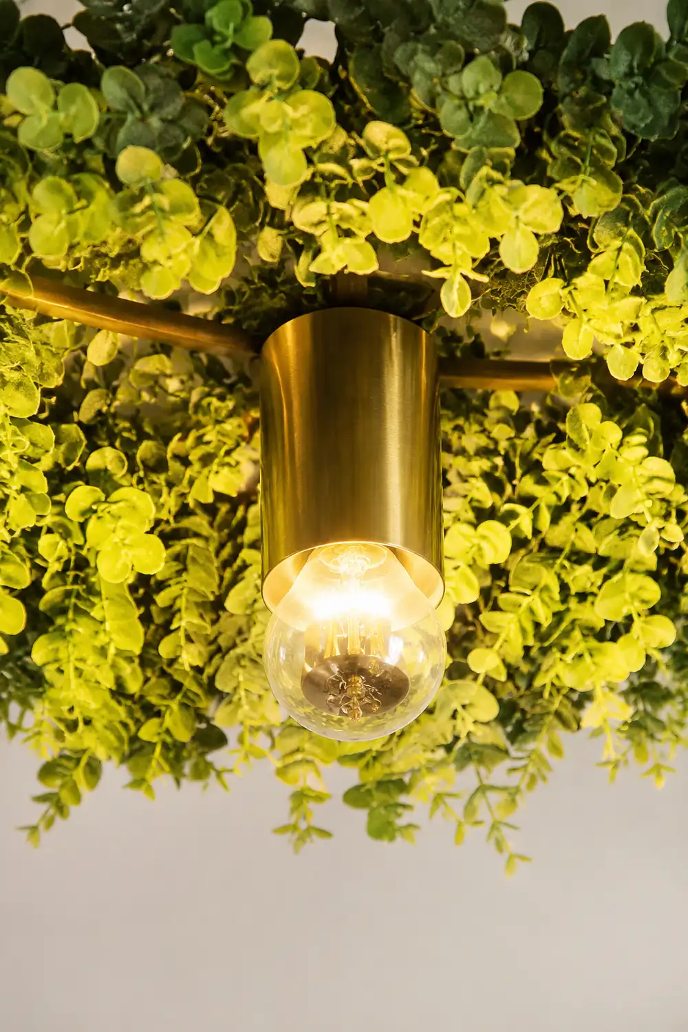 Nest Deckenleuchte, Pflanze, ∅45CM - Lumpaz