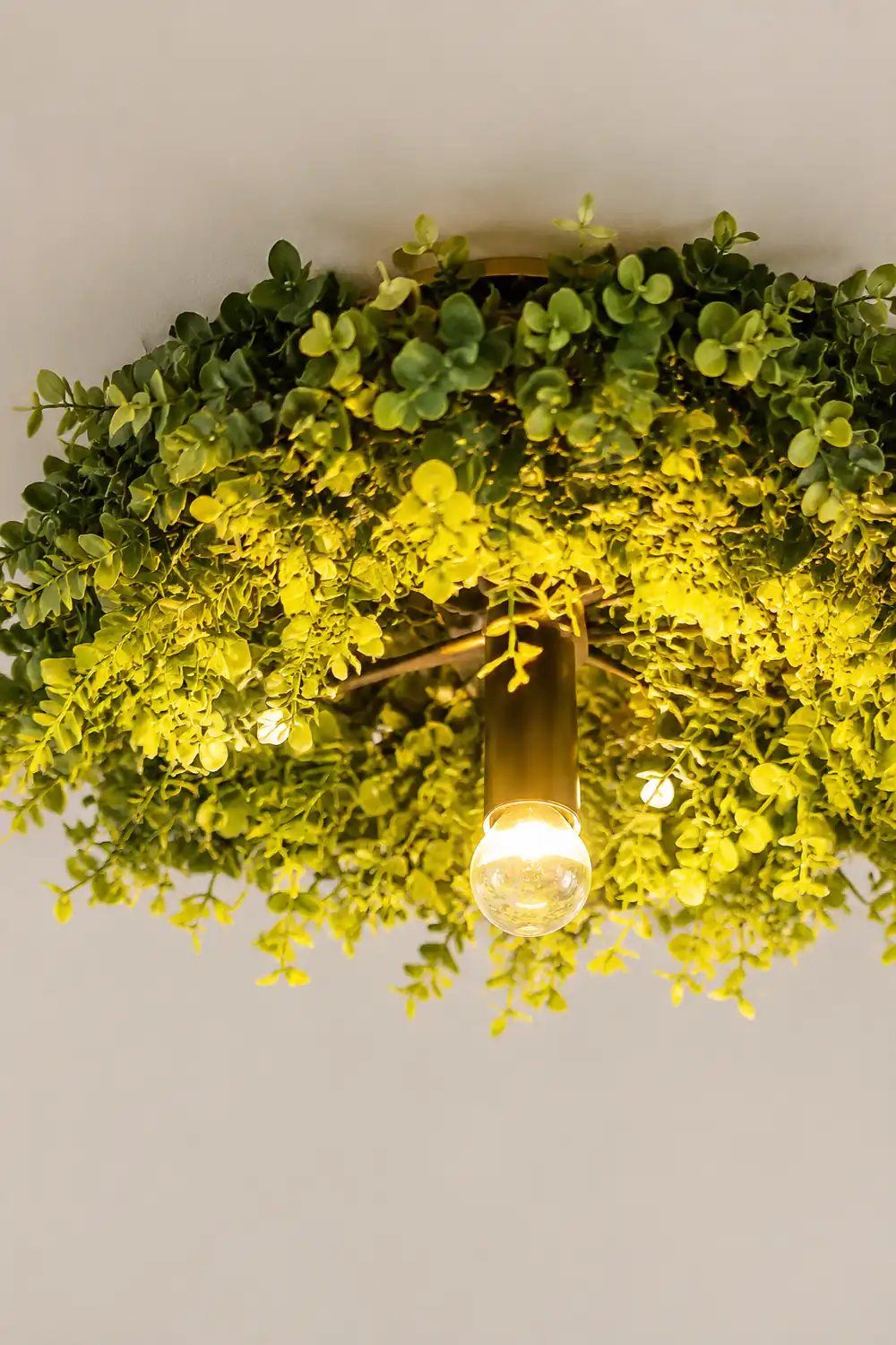 Nest Deckenleuchte, Pflanze, ∅45CM - Lumpaz