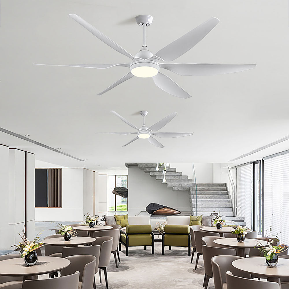 Haydn Deckenventilator mit Beleuchtung Weiß & Schwarz 6-Blatt, ∅137/167CM - Cueteks