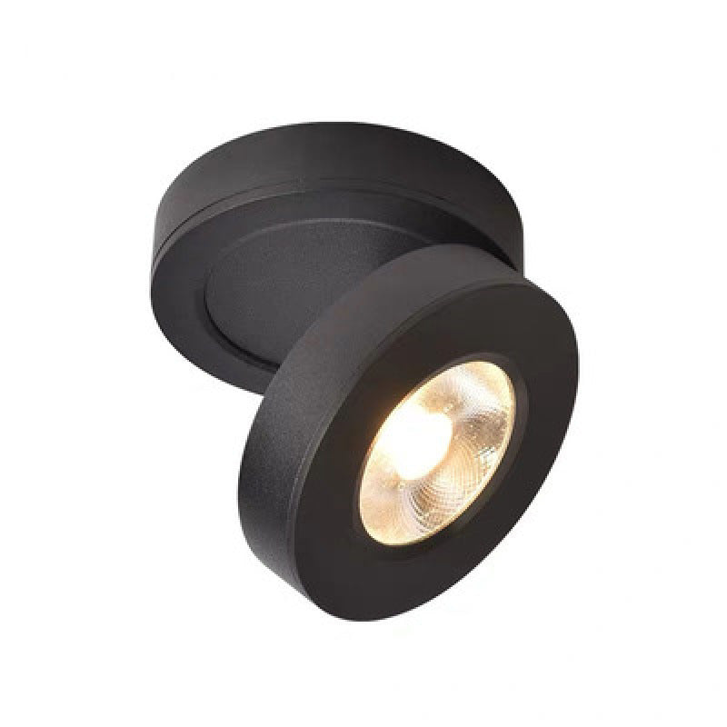 LED-Rundstrahler eingebettete Himmelslaterne-Gang-Veranda-Licht-Deckenleuchte - Cueteks