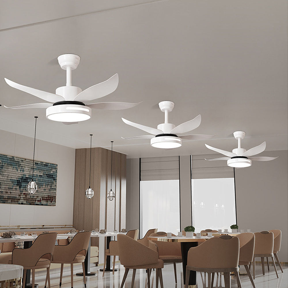 Haydn 5-Blade Modern Basic DC Ceiling Fan with Light, White/Black, 52'' - Cueteks