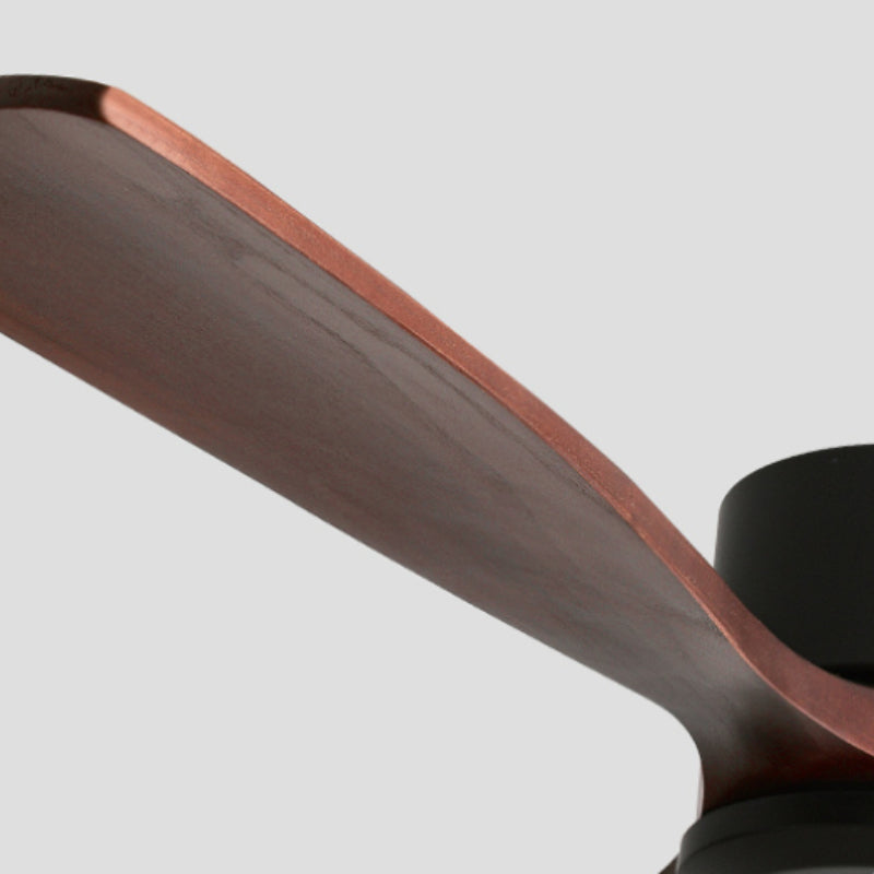 Haydn 3-Blade Black & Red Ceiling Fans, DIA 52'' - Cueteks