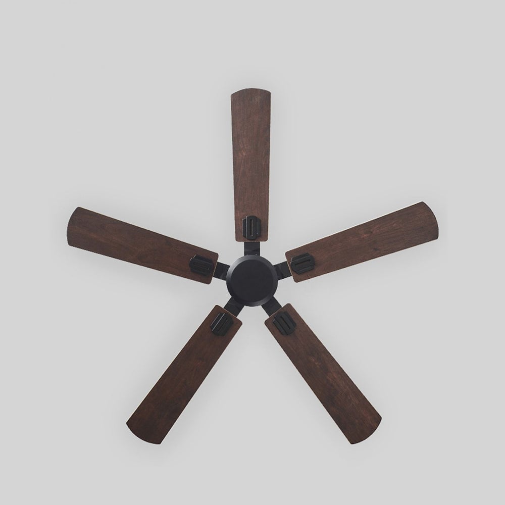 Haydn 5-Blade Modern Black & Coffee DC Ceiling Fan, Metal & Wood, 51'' - Cueteks