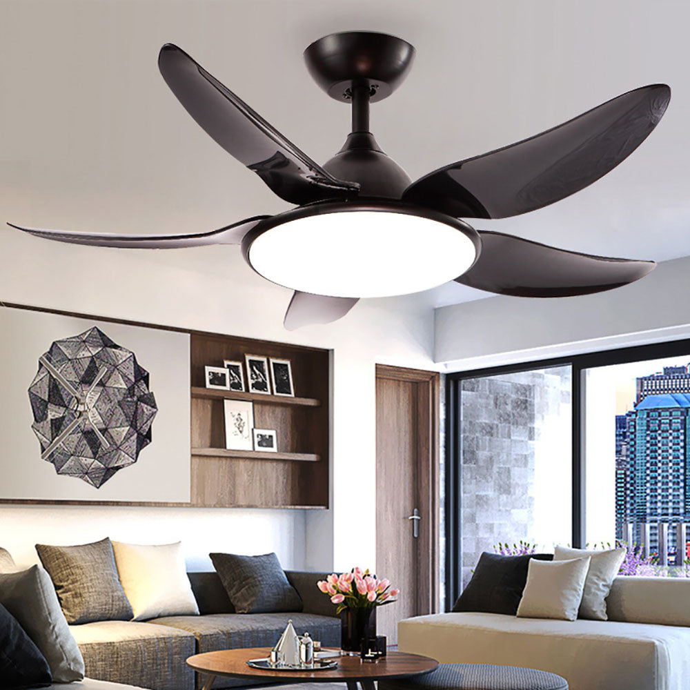 Haydn 5-Blade Modern Basic DC Ceiling Fan with Light, Black & White, 52'' - Cueteks