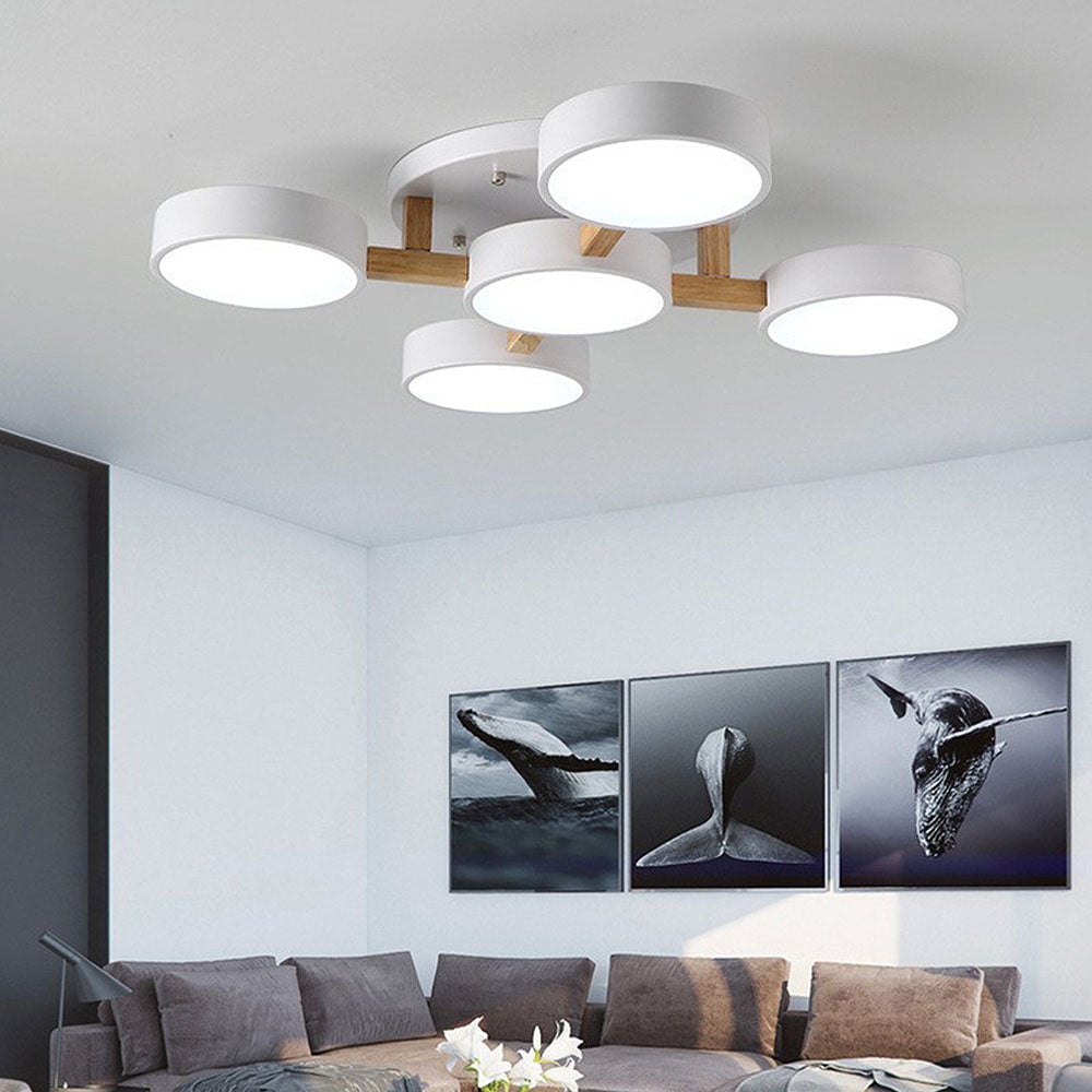 Contemporary Acrylic Multi-Heads Ceiling Light - Cueteks