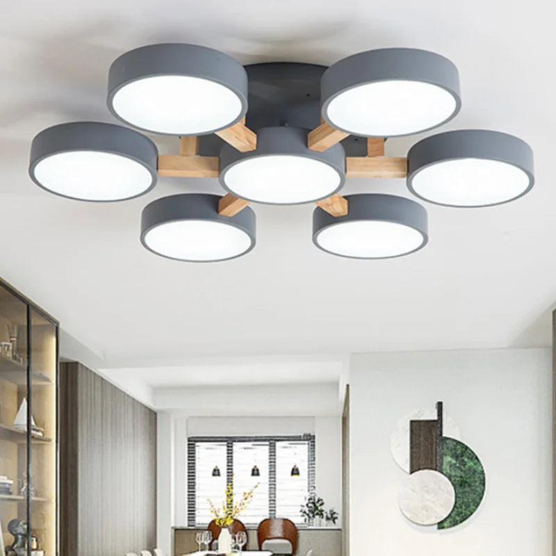 Contemporary Acrylic Multi-Heads Ceiling Light - Cueteks