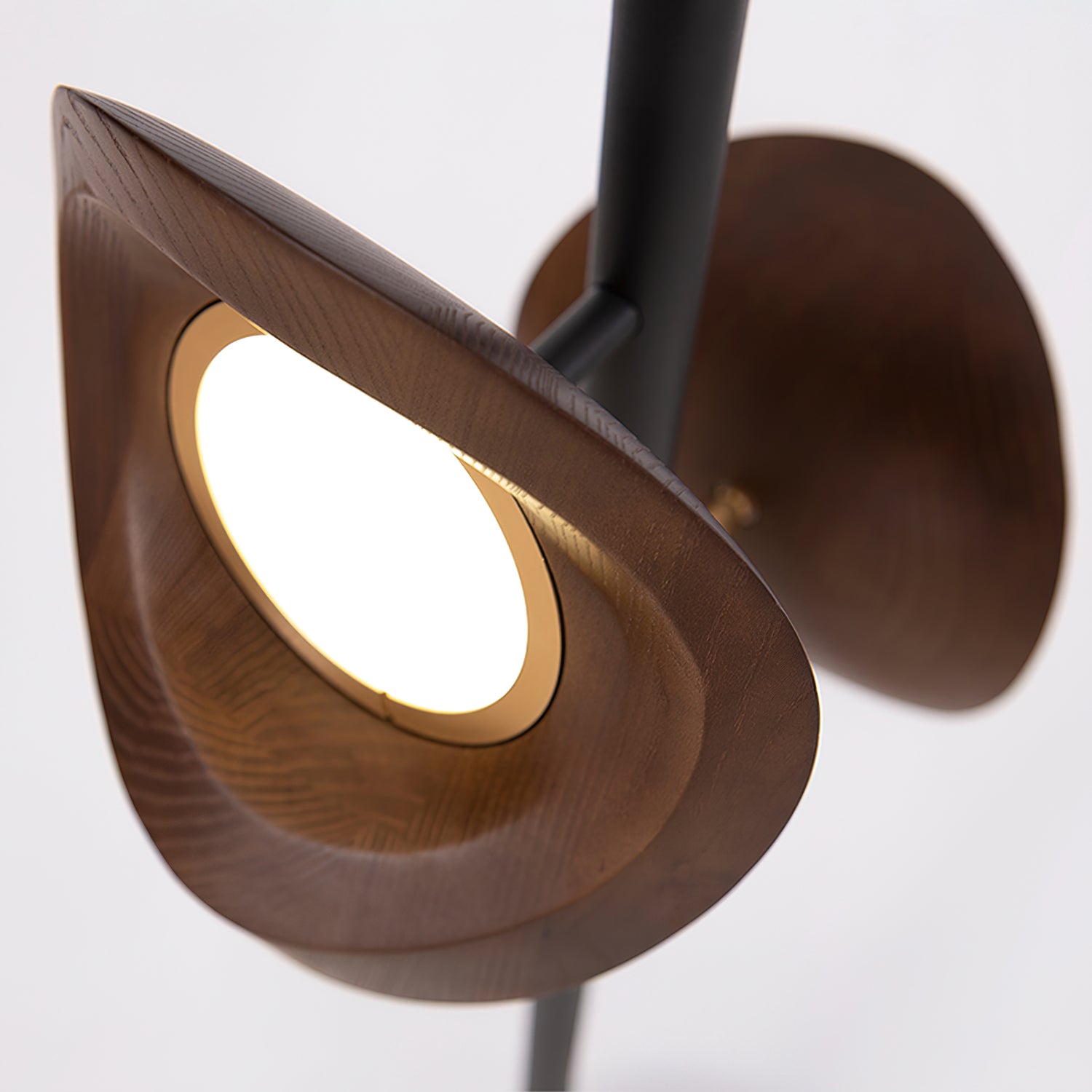 Nest Floor Lamp - Cueteks