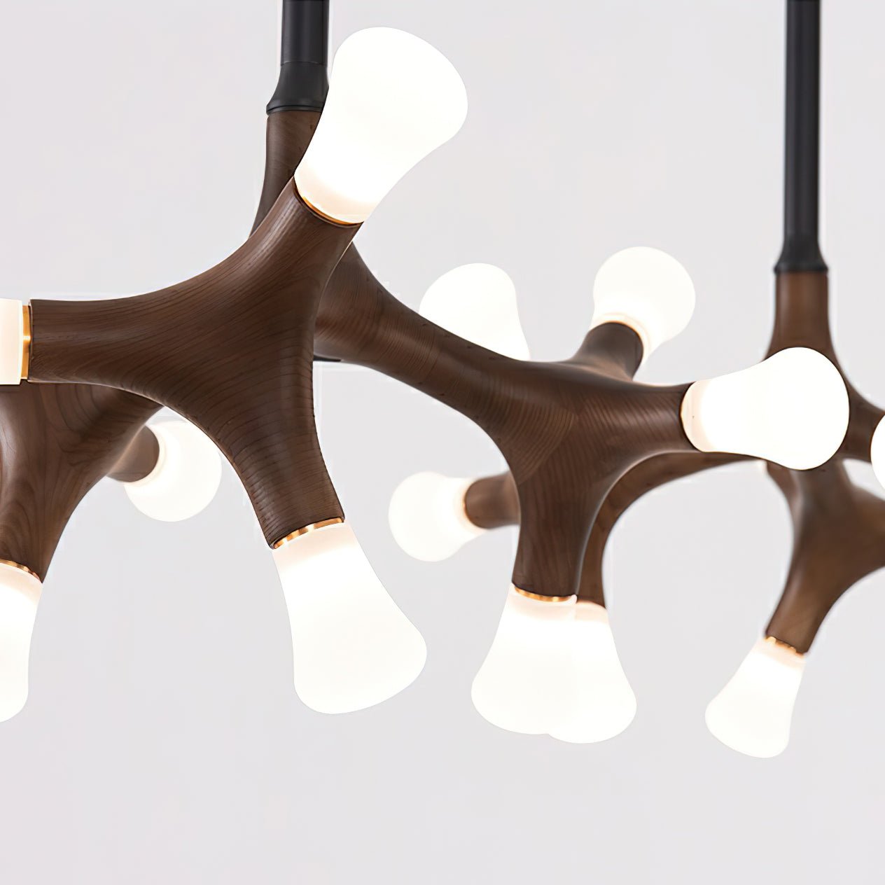 Flower Bone Chandelier - Cueteks