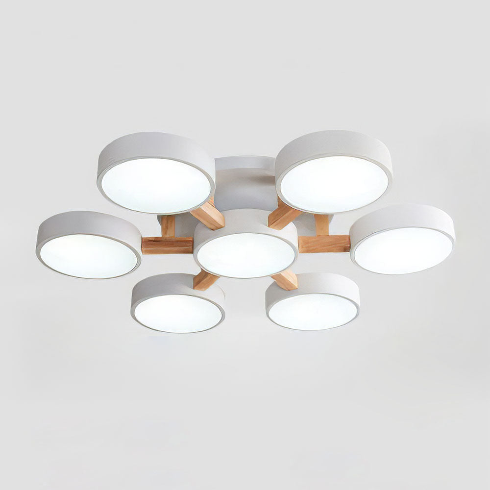 Contemporary Acrylic Multi-Heads Ceiling Light - Cueteks