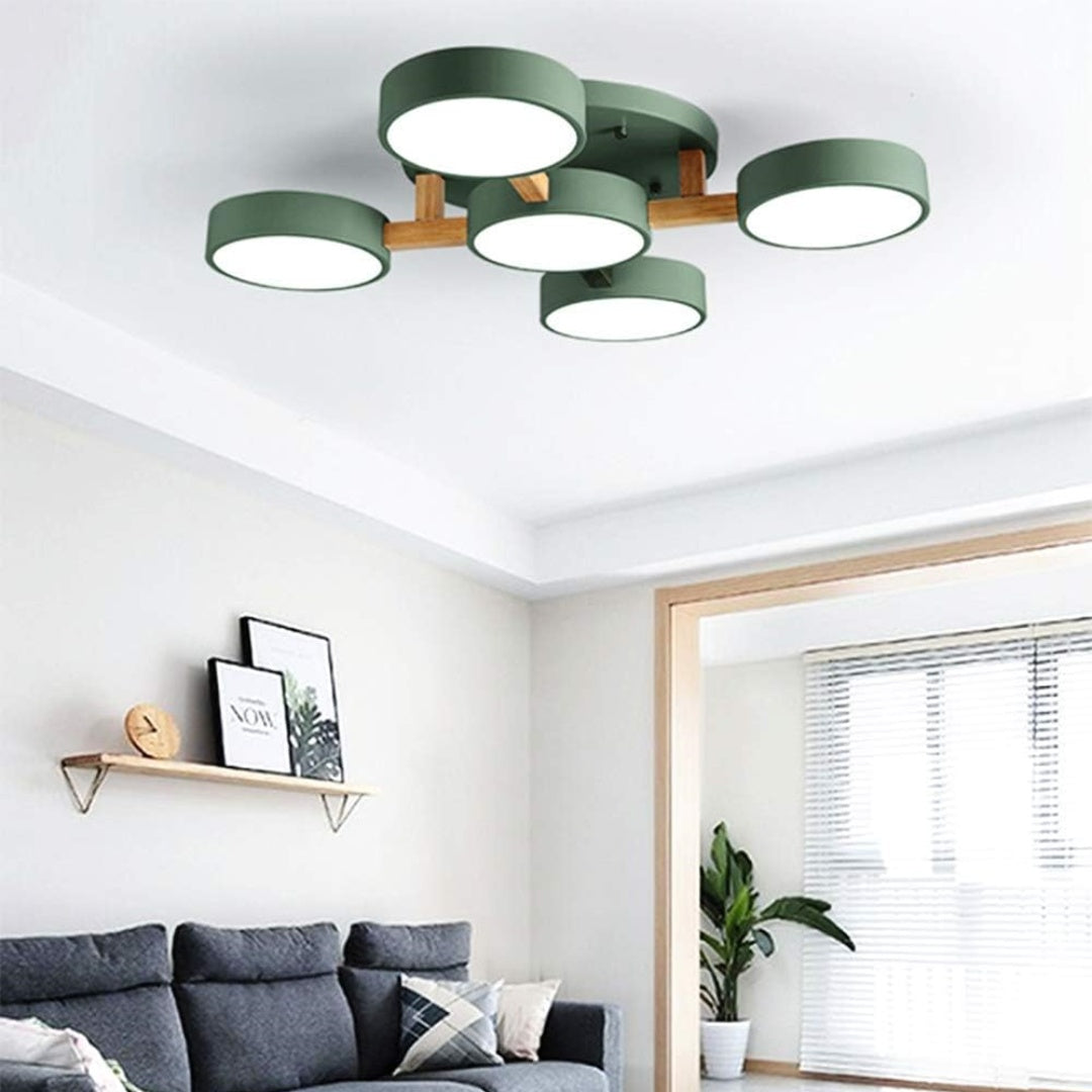 Contemporary Acrylic Multi-Heads Ceiling Light - Cueteks