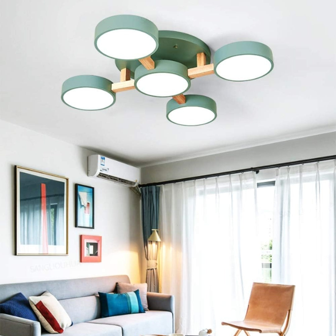 Contemporary Acrylic Multi-Heads Ceiling Light - Cueteks